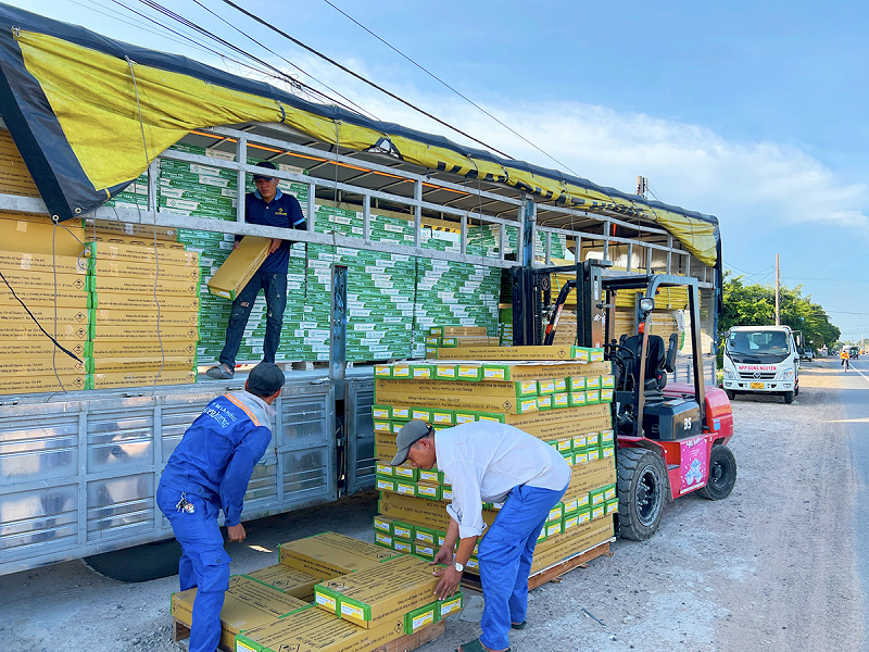 Vận chuyển tấm thạch cao Lâm Phát Logistics luôn đảm bảo an toàn cho hàng hóa.