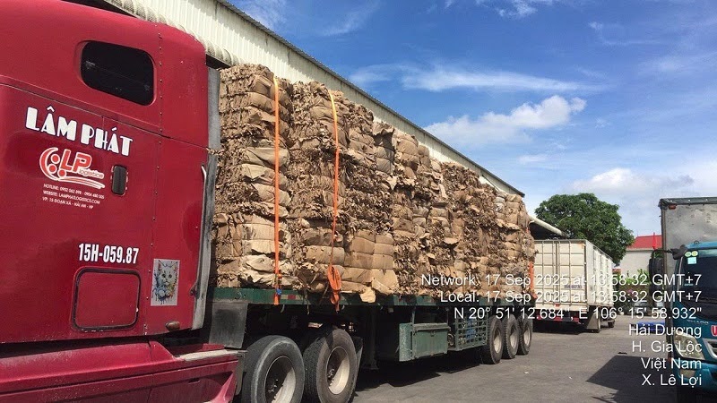 Kỹ thuật chằng buộc quyết định an toàn của vận tải giấy phế kiện. Kỹ thuật chằng buộc quyết định an toàn của vận tải giấy phế kiện.